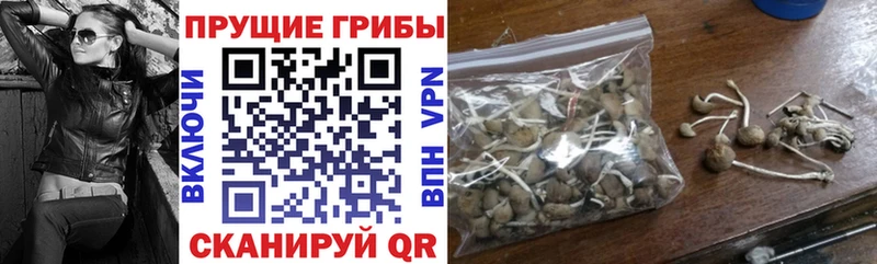 Псилоцибиновые грибы Magic Shrooms Устюжна