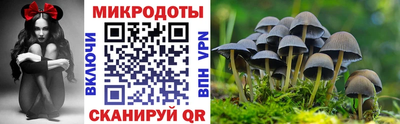 Псилоцибиновые грибы Cubensis  Устюжна 